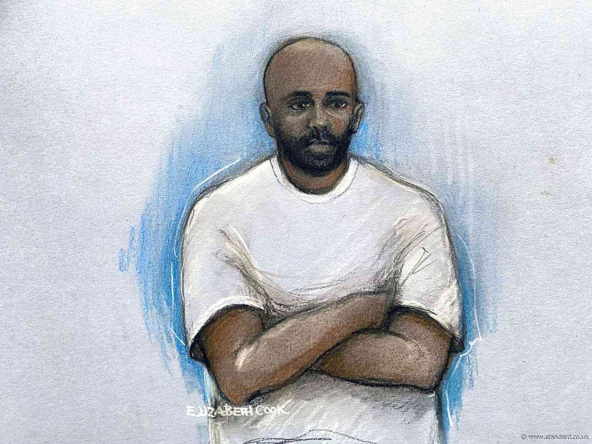 Pedestrians 'projected into the air' when man drove through crossing in west London, court hears