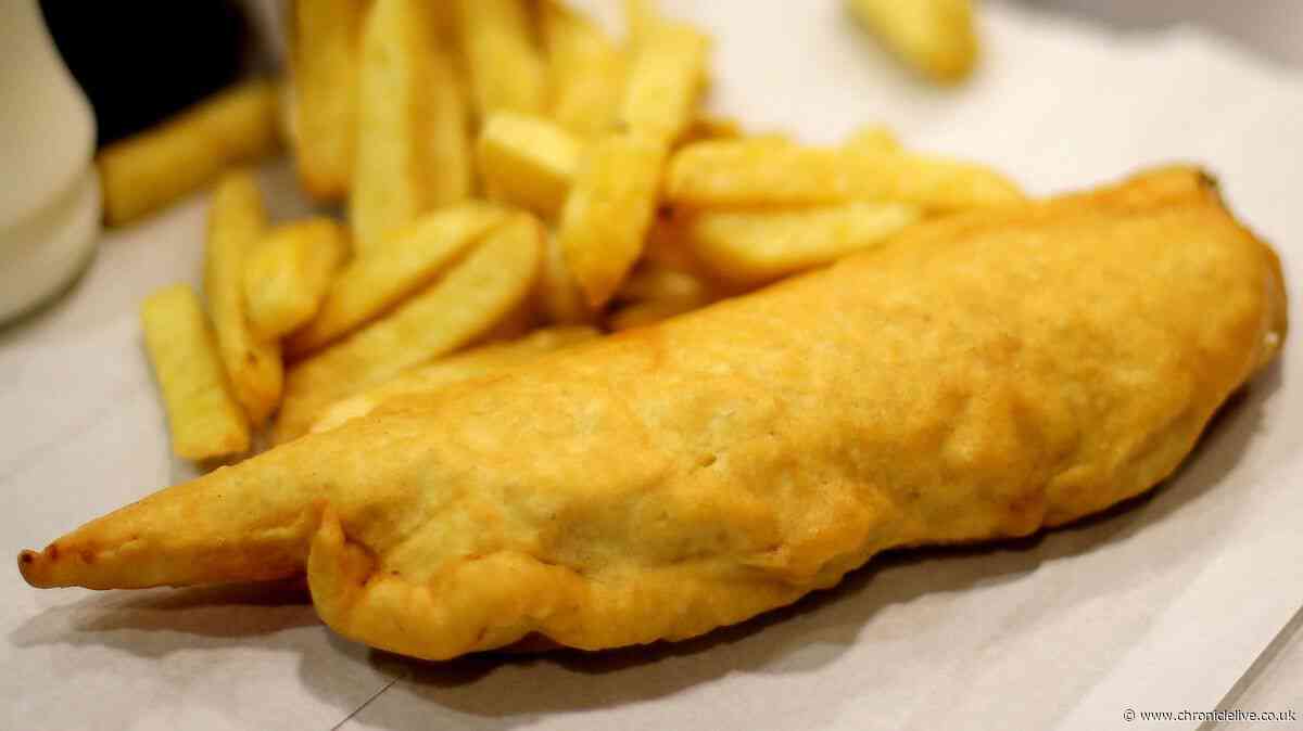 North East fish dinners cost more as average UK cod and chips price hits £11.41