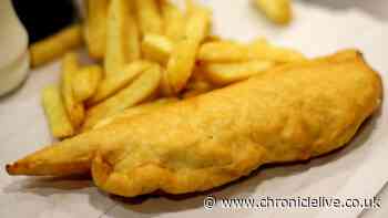 North East fish dinners cost more as average UK cod and chips price hits £11.41
