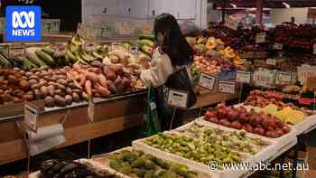 Australian horticulture production value hits record $19.5b