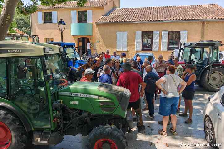 « On a vu des géomètres prendre des mesures sur nos parcelles ! » : un projet de déviation au Beausset inquiète des vignerons de l’AOC Bandol