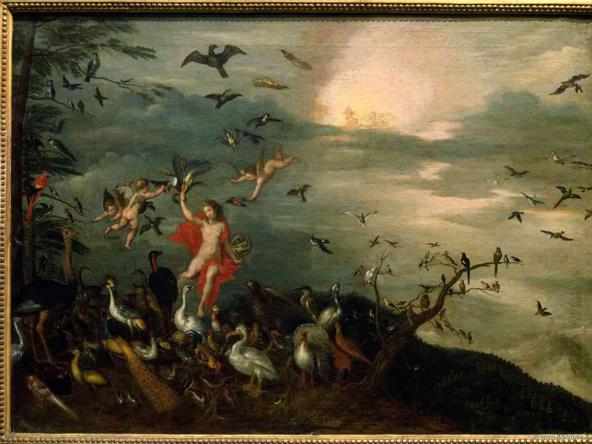 Il segreto del pipistrello era nascosto in un quadro: Brueghel aveva anticipato la zoologia di quattro secoli