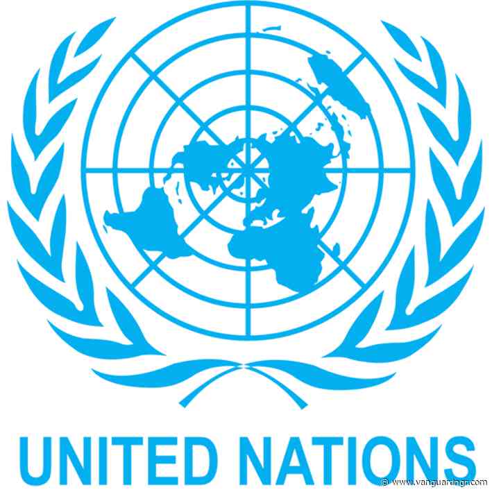 Violence against women declines from 9% to 5% in six years— UN Women