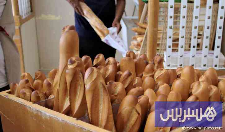 جامعة المخابز تحذر من العشوائية .. وحماة المستهلك يطالبون بالمراقبة