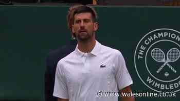 BBC Wimbledon viewers furious as Novak Djokovic match taken off air at crucial moment
