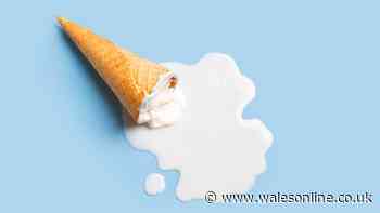 Everyone warned not to pour melted ice cream into sink this weekend