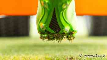 What goes into making World Cup-quality turf, and the Canadian behind it