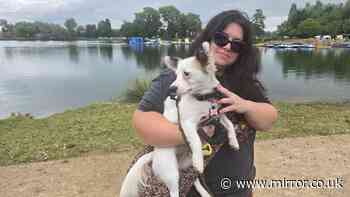 I visited UK holiday park so huge I got lost - it has 11 lakes and a water park
