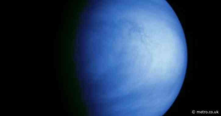 Scientists think life could exist on Venus – but came from Earth