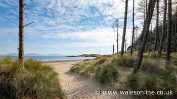 'Beautiful' beach in Wales is so pictureseque it's 'like being abroad'