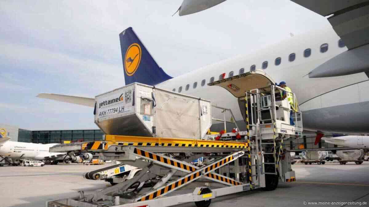 Weniger Koffer gehen verloren  – Fluggepäck 