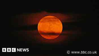 Keep an eye out for tonight's Strawberry Moon
