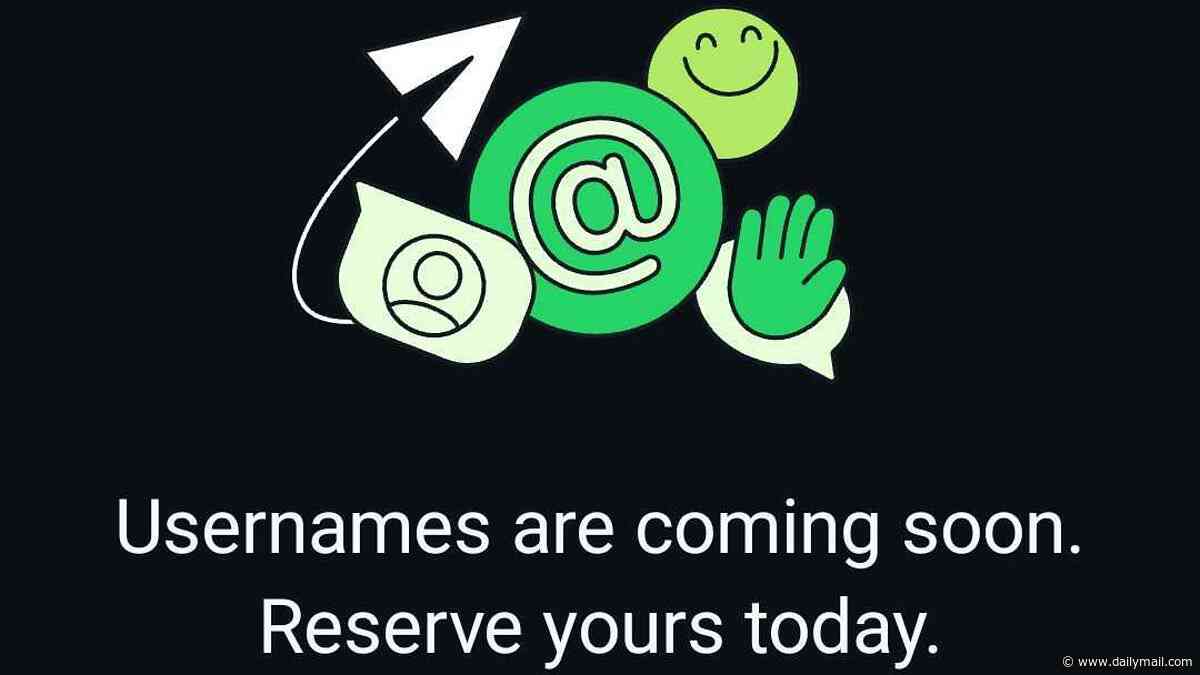 WhatsApp to let people chat without swapping phone numbers - but you'll have to be quick to reserve your username