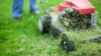 'Kid offered to mow my lawn but I taught him lesson after sneaky move'