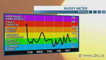 Riley Laychuk's Manitoba forecast for Tuesday, June 30, 2026
