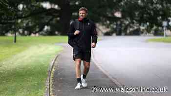 Wales announce Leigh Halfpenny appointment just days before first match