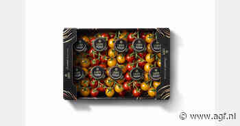 "Twee premiumtomaten, één smaakvolle selectie"