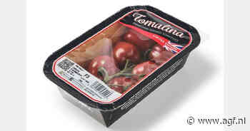 Papieren punnets voor Britse tomaten
