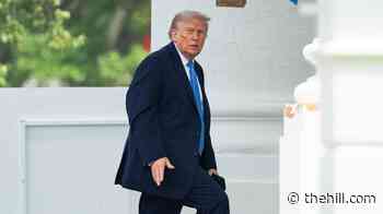 Trump launches midterm offensive against Democrats over 'communism'