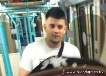Manhunt for DLR sex attacker after woman assaulted on train