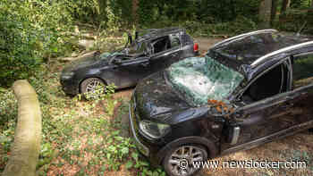 Familie uit Lage Vuursche verliest twee auto's door noodweer: &rsquo;Het had nog veel erger af kunnen lopen&rsquo;