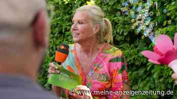 Kuriose Liebes-Beichte live im TV: Diesen schrägen Kosenamen hat Andrea Kiewels Verlobter für sie