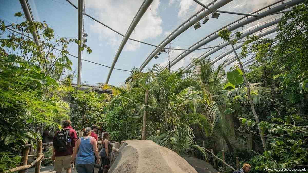 Chester Zoo's emergency plan to save rare animal experts struggled to find