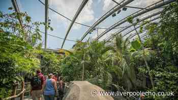 Chester Zoo's emergency plan to save rare animal experts struggled to find