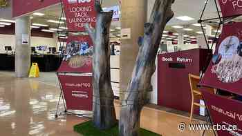 A tree honouring Newfoundlanders who died at the Battle of the Somme to be unveiled in France