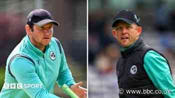 Wilson replaces Malan as Ireland head coach