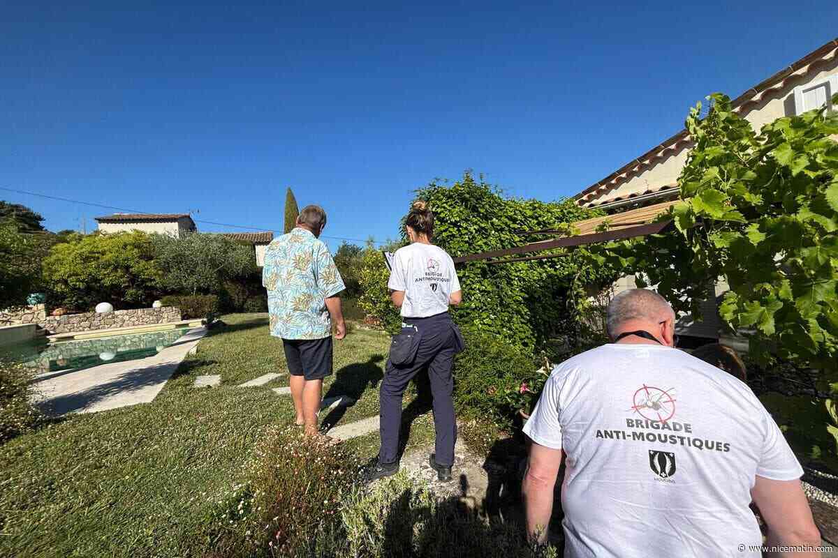 Brigade dédiée, traitement biologique des eaux pluviales, gîtes à chauves-souris, subventions... Comment cette ville de la Côte d’Azur organise la lutte contre le moustique tigre