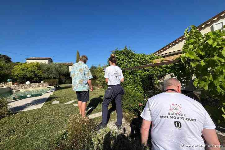 Brigade dédiée, traitement biologique des eaux pluviales, gîtes à chauves-souris, subventions... Comment cette ville de la Côte d’Azur organise la lutte contre le moustique tigre