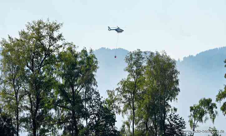Aufräumarbeiten nach Waldbrand am Chiemsee