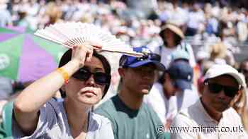 Wimbledon punters get discounted wine after price printing bungle