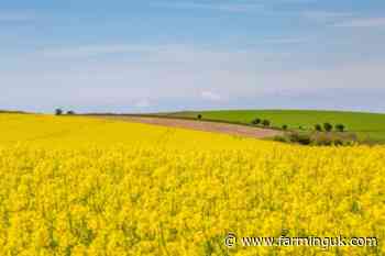 Farmers sought for Defra-funded crop trials