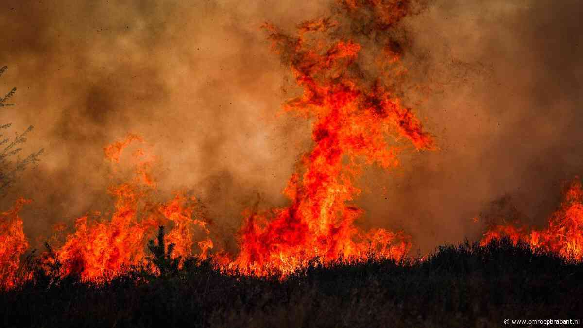 Natuurbranden op militair terrein: Defensie scherpt regels aan voor oefenen