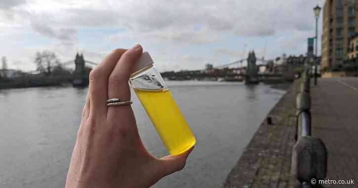 E.coli levels reach dangerous levels in River Thames after sewage spill in heatwave