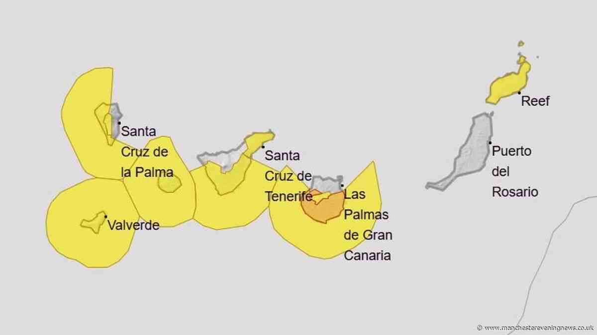 Wildfire warnings issued for Canary Islands as 40C heat forecast