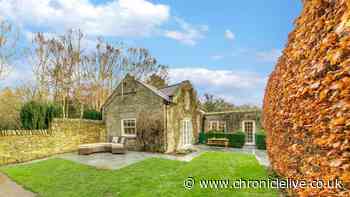 'Secluded' Northumberland woodland cottage is 'perfect for a peaceful escape'