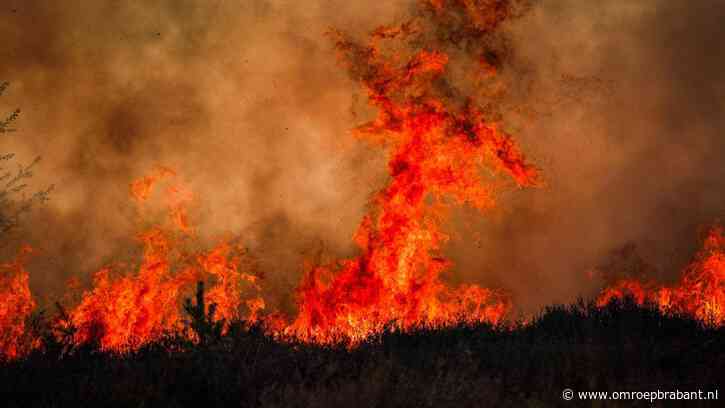 Natuurbranden op militair terrein: Defensie scherpt regels aan voor oefenen