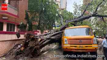 Mumbai rains: Falling tree crushes school van in Chembur, 5 students hospitalised