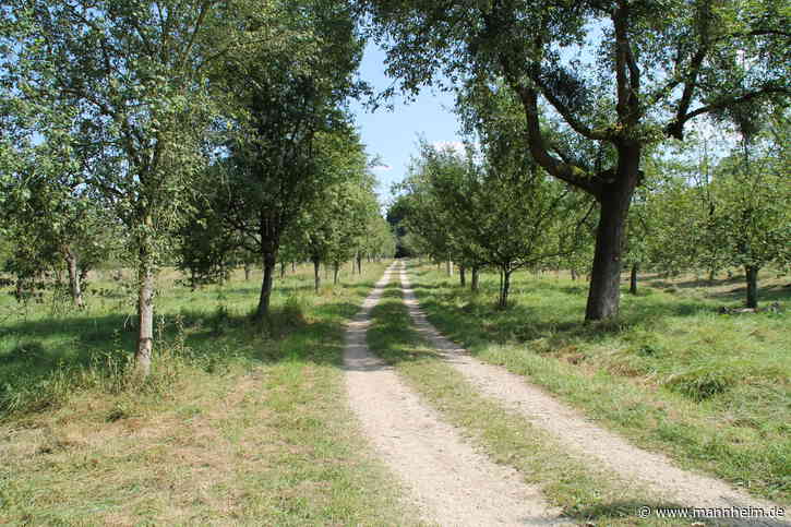 Reißinsel: Naturpause beendet