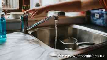 Everyone told to stop pouring leftover sauce down kitchen sink