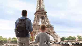 Rich family hiring 'fun' companion for summer trips to London, Paris and Cannes