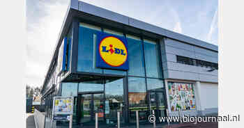 Future Up verwelkomt vier nieuwe partners, waaronder Lidl