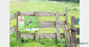 Nieuwe aanvraagronde voor natuur-, landschap- en weidevogelprojecten