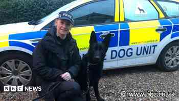Police dog reunited with foster carers after decade