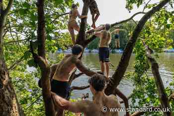 The future of London wild swimming: Sewage, safety, and the battle for blue spaces