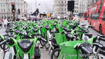 'I heard my spine and body split': Pedestrian hospitalised for month with serious injuries after smash with child e-bike rider calls on London Mayor to clamp down on Lime bikes