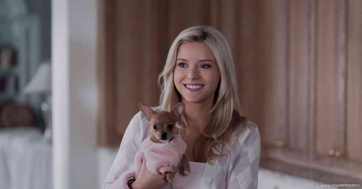 Nineties-hits en tienerproblemen in &amp;#8216;Elle&amp;#8217;, de prequel van &amp;#8216;Legally Blonde&amp;#8217;